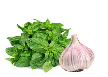 PESTO